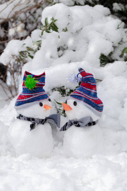 istock Two cute little snowmen dressed for snow 1415788451