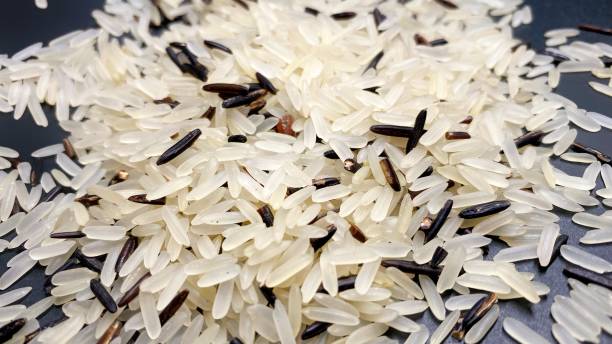 riz sauvage sur fond noir. - rice black wild rice dry photos et images de collection