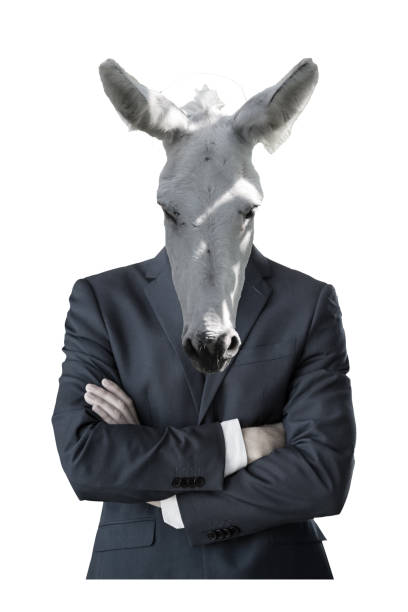 istock distinguished person with donkey face- 1415793724