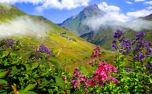 istock Kackar Mountains National Park ( Vercenik Plateau ) Rize, Turkey. 1415796181