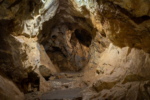 ojika-höhle in der stadt kitakyushu, präfektur fukuoka - spelunking stock-fotos und bilder