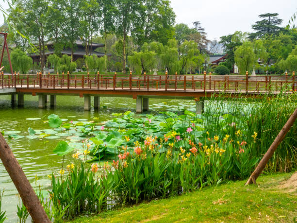 Xi'an, China - July 21, 2022: A bridge in the middle of a river surrounded by trees and aquatic plants. There are no people in the scene
