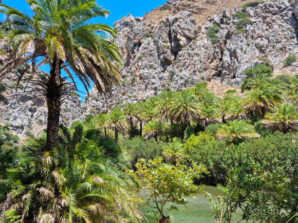 istock Preveli Lagoon in Rethimno, Crete, Greece 1415800345