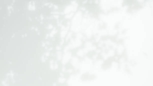 istock Blur Gray cement shadow leaves background. 1415800720
