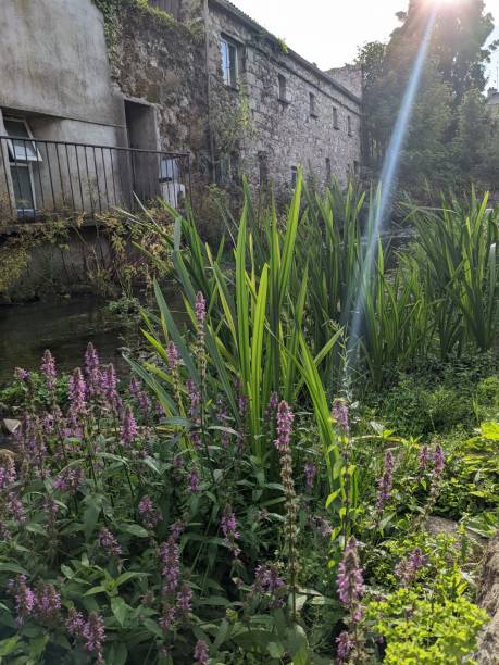 istock Graiguenamanagh Beer garden 1415804350