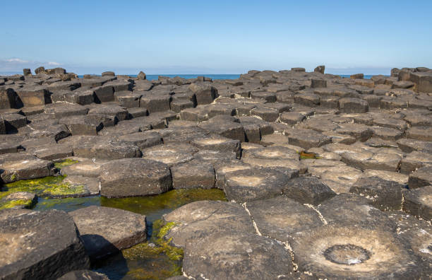 istock Giant's Causeway and Causeway Coast 1415806346