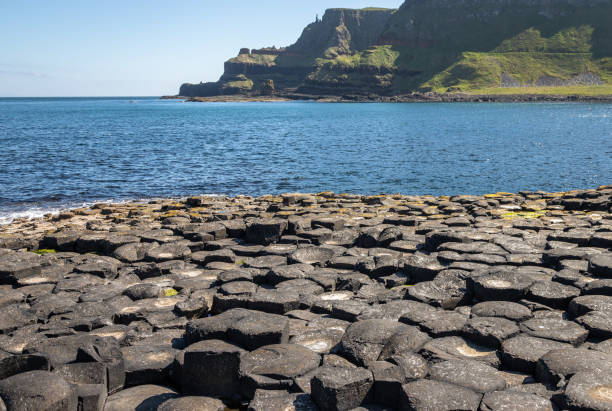 istock Giant's Causeway and Causeway Coast 1415806386