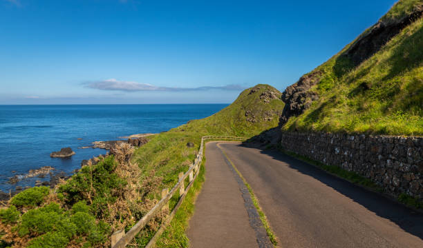 istock Giant's Causeway and Causeway Coast 1415806396