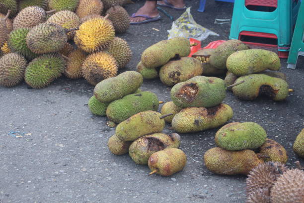 jackfruit and durian fruit on sale
