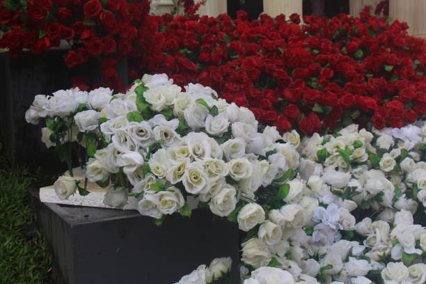 istock This white and red ornamental fruit is very beautiful 1415809675