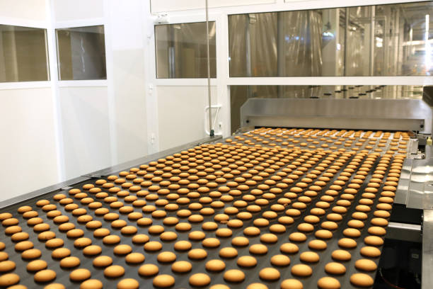 istock Controlling the work of huge conveyor machine producing spice cakes at the confectionary plant. Cookie production line. Innovative biscuit production. 1415812584