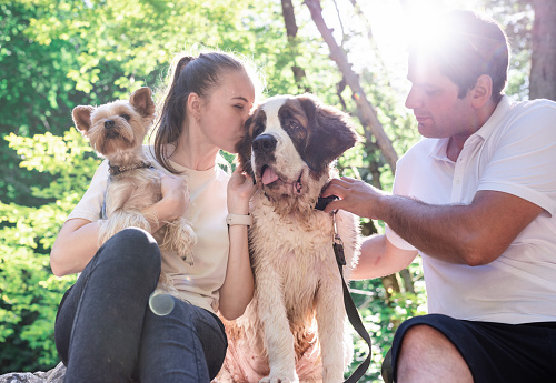 Pet care. Travelling. young couple travelling with dogs at the mountains, St.Bernard dog and yorkshire terrier, kissing dogs
