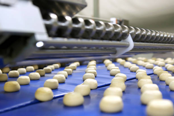istock Controlling the work of huge conveyor machine producing spice cakes at the confectionary plant. Cookie production line. Innovative biscuit production. 1415812759