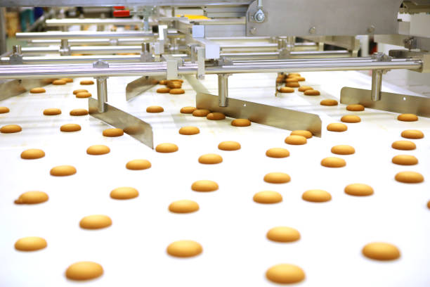 istock Controlling the work of huge conveyor machine producing spice cakes at the confectionary plant. Cookie production line. Innovative biscuit production. 1415812829
