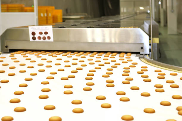istock Controlling the work of huge conveyor machine producing spice cakes at the confectionary plant. Cookie production line. Innovative biscuit production. 1415812855