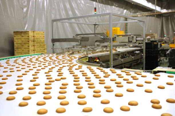 istock Controlling the work of huge conveyor machine producing spice cakes at the confectionary plant. Cookie production line. Innovative biscuit production. 1415812869