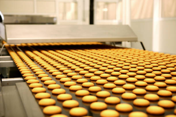 istock Controlling the work of huge conveyor machine producing spice cakes at the confectionary plant. Cookie production line. Innovative biscuit production. 1415812909