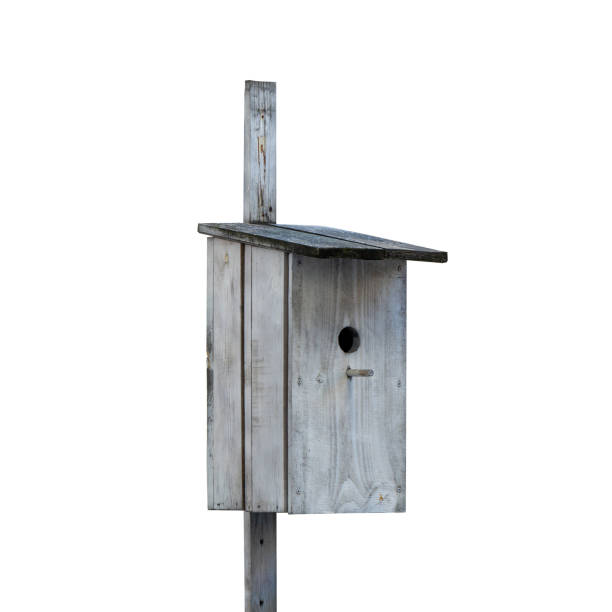 drewniana stara budka dla małych ptaków. izolowany na białym tle. - birdhouse birds nest box isolated zdjęcia i obrazy z banku zdjęć