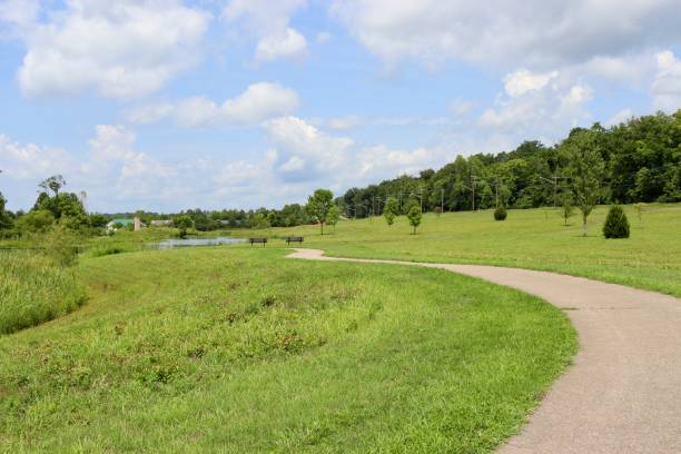 istock Pathway in the Countryside Park 1415814352