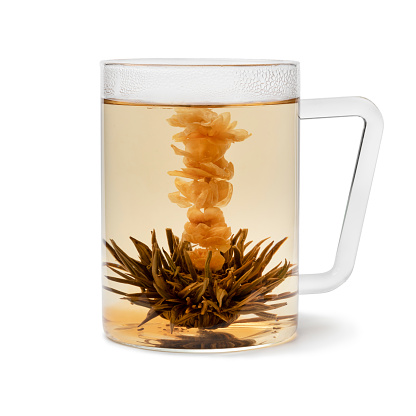 Glass cup with a traditional Asian dried handmade Jasmine tea flower and tea isolated on white background