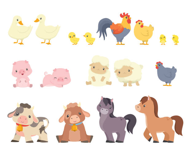 ilustraciones, imágenes clip art, dibujos animados e iconos de stock de conjunto de lindos animales de granja de estilo kawaii en diferentes poses - cartoon cow cute vector