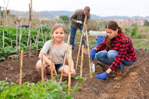 istock Mother and daughter working in garden 1415815408