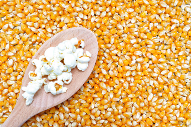 Close-up shot of Salted Popcorn Snacks