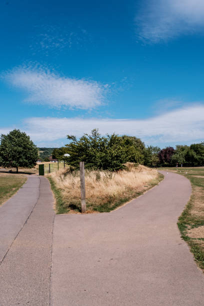 istock Dry Grass And Green Trees Parched Gound From Climate Change Heatwave 1415823672