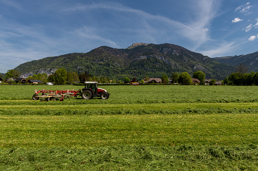 Hay turning with tractor in the Salzkammergut