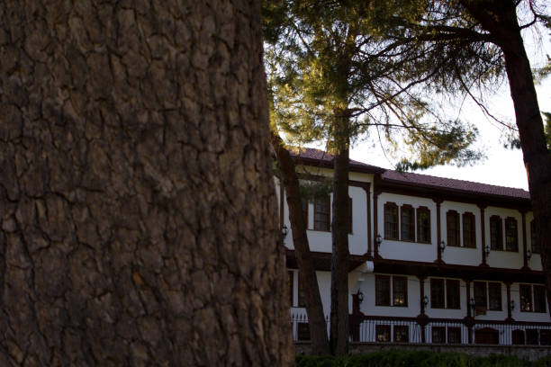 istock Old village house behind tree trunk surface 1415839718