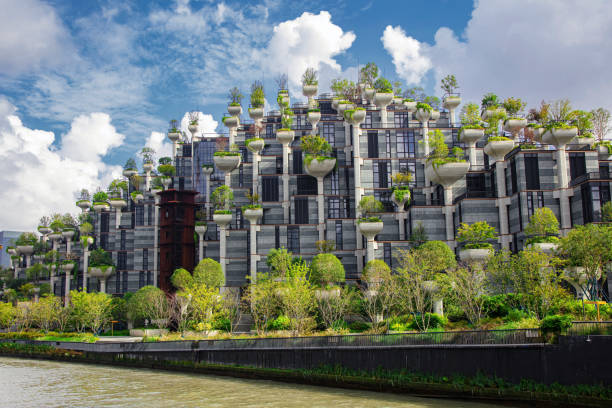 istock Green facade vertical garden in architecture. Ecological building. Green architecture 1415840436