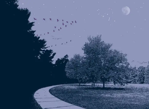 Vector illustration of Treelined public park and flock of birds