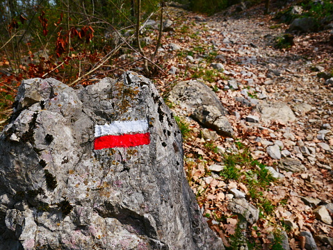 One man, disability young man with prosthetic leg free climbing on a rock in nature..