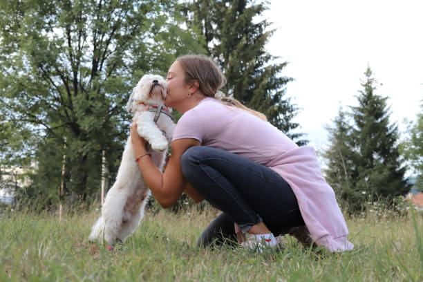 istock Love between dog and its owner. 1415845866