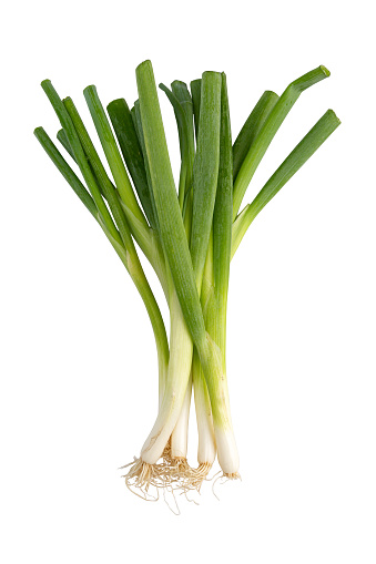 Fresh green scallions on a white background. Isolated.