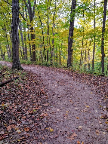 A curved, leaf-strewn footpath in the autumn forest of Highbanks Metro Park.