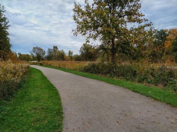 istock Path into Meadow in Autumn Park 1415847671