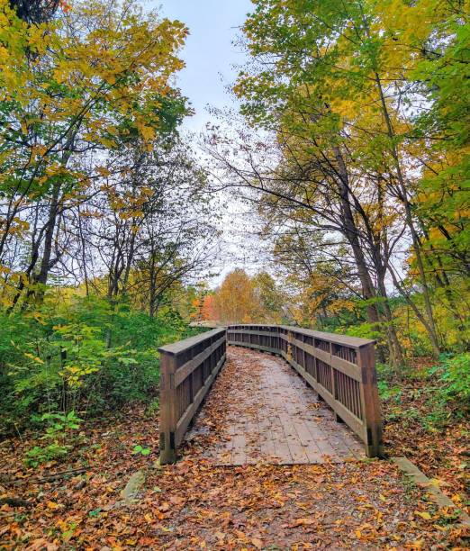 istock Wooden Bridge Under Autumn Trees 1415847674