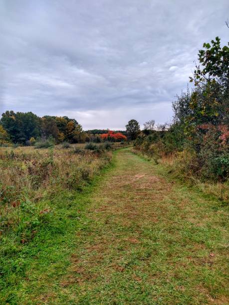 istock Grassy Footpath Between Autumnal Meadow and Trees 1415847759