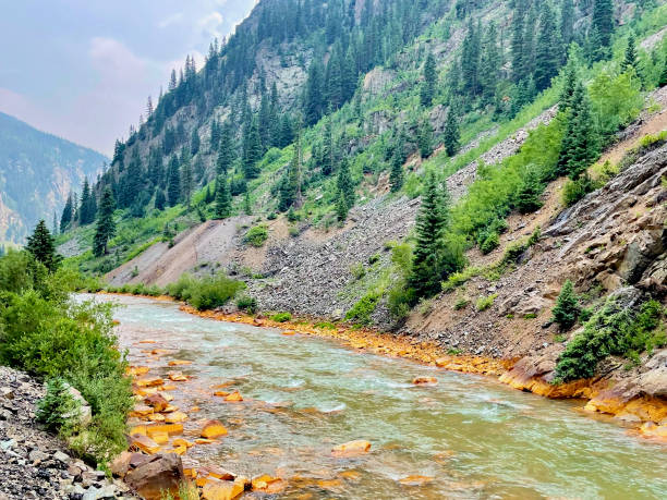 Animas River in Summer near Durango, Colorado (USA) stock photo