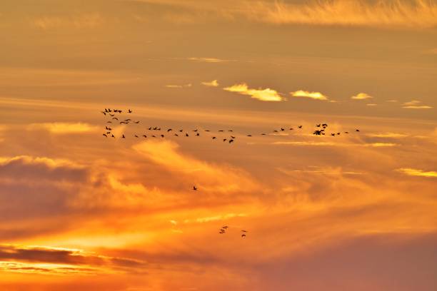 istock Mystic morning at sea 1415850303