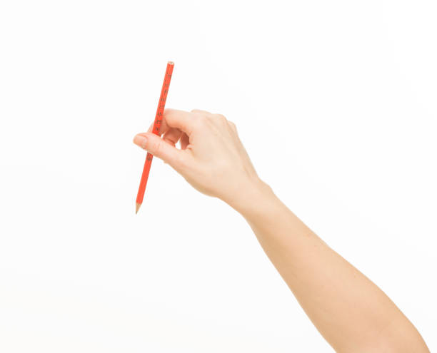 female hands holding orange pencil on white background isolated stock photo