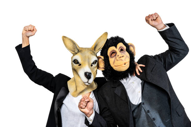 Monkey man and kangaroo woman making success and winner gesture. Isolated white background Monkey man and kangaroo woman making success and winner gesture. Abstract concept with animal masks and businessman clothes animal head man stock pictures, royalty-free photos & images