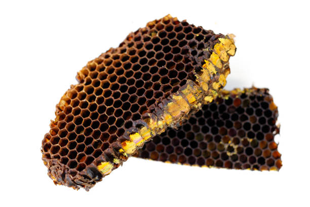 istock Bee pollen in honeycomb isolates. Bee pollen is a bee product from an apiary. 1415853267