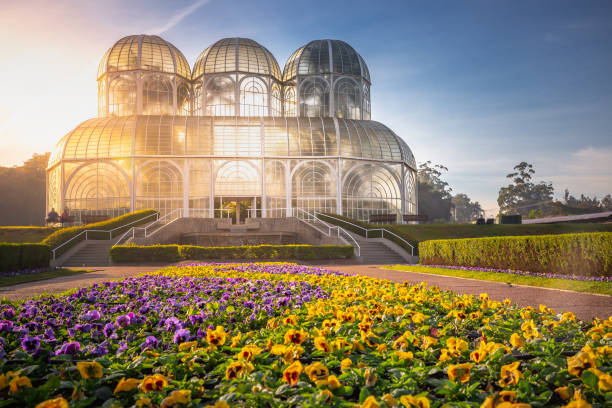 クリチバの植物園温室周辺の公共公園、パラナ、ブラジル - curitiba ストックフォトと画像