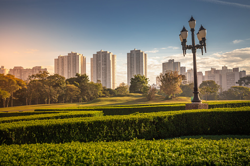 Parque Barigui en Curitiba al amanecer con edificios y farola, Brasil photo