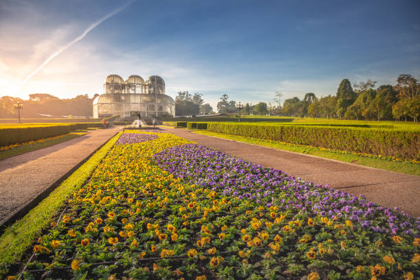 クリチバの植物園温室周辺の公共公園、パラナ、ブラジル - curitiba ストックフォトと画像