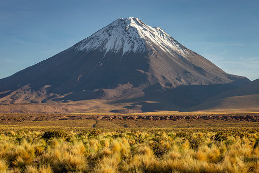 Licancabur volcano at sunrise, San Pedro de Atacama, Desert arid landscape, Chile, South America