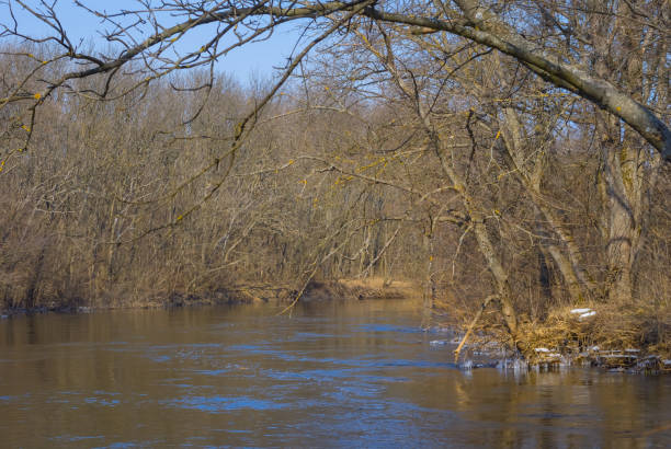 istock small river flow in forest natural landscape 1415857751