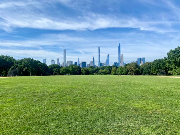istock Central Park Summer in The Big Field 1415857828